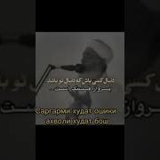 Думболи Касе Бош