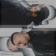 Mehrad Hidden Seyl Feat Shayea