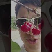 Песни Про Вишню