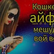 Кошке Ки Айфон Мешудам Вой Войе