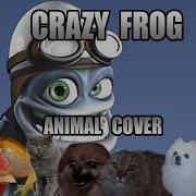 Crazy Frog Axel F Animal Cover