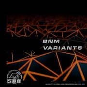 Variants Bnm Sp