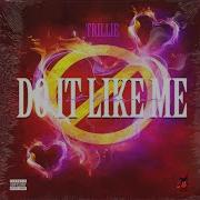 Do It Like Me Trillie