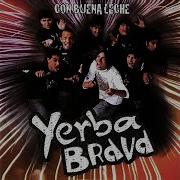 Yerba Brava Ah Pero Que Tal Se Mueve