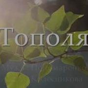 Тополя Игорь Филатов