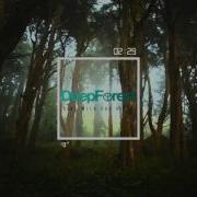 Deep Forest Sing With The Birds