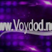 Voydoda Net