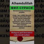 Фил Сураси Ёдлаш Учун