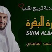 رة آل عمران كاملة للقارئ الشيخ محمد الفقيه جودة عالية بدون اعلانات من أجمل ما سمعت