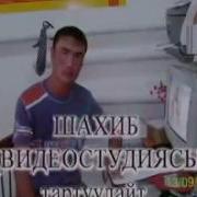 Жерге Тал Той Коштегирмен
