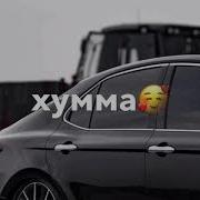 Хьай Дог Хьаста Цхьа А Воцуш