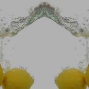 Monodeluxe Lemon Squash