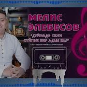 Мелис Элебесов Сармерден