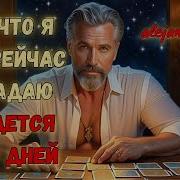 Хиты На Весь День