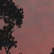 Pink Slowed