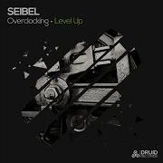 Level Up Seibel