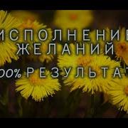 Исполнитель Желаний 3 Музыка