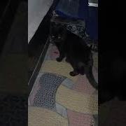 Ты Убегаешь Я Догоняю