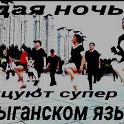 Белые Розы На Цыганском Языке