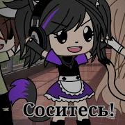 Меме Гача Лайф Соситесь