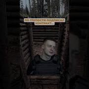 Мелстрой Фразы
