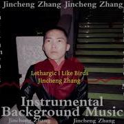 Litter I Like Birds Jincheng Zhang