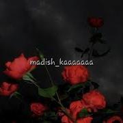 Для Всех Чеченок Еза Хьо Са Камила Са Амина Са Элина И Т Д 2017