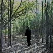Yabujim