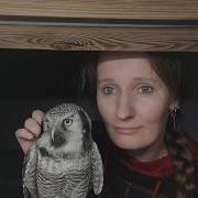 Нюх За Нюх Кусь За Кусь Сначала Ты Нюхаешь Всю Сову А Потом Она Кусь Тебя За Шею За Это