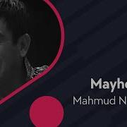 Mahmud Mayxona