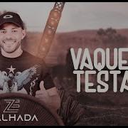 Vaqueiro Testado Zé Malhada Forrozão Atualizado 2024 Zé Malhada Cantor Oficial
