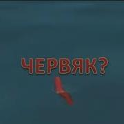 Ничего Себе Что Же Это Всплыло Говно Говно Говно Нет Это Же Говно