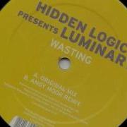Luminary Wasting Andy Moor Remix