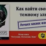 Роберт Сальваторе Темный Эльф