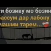 Эссе Нест Бе Ранҷ Роҳати Дунё