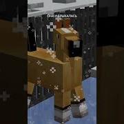Грустная Песня Про Лошадь