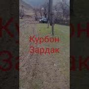 Сари Хосор Авария Срочно