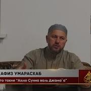 Кто Такие Ахлю Сунна Валь Джама А Хафиз Умарасхаб