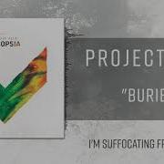 Buried Project Vela