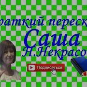 Поэма Некрасова Саша
