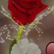 Субхи Хамаи Шумо Ба Хайр