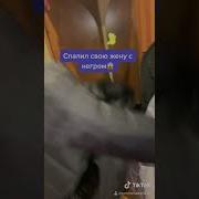 Фото Голых Жен С Негром