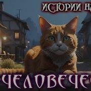 По Человечески Чеширко