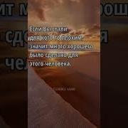 Умные Цитаты Про Жизнь