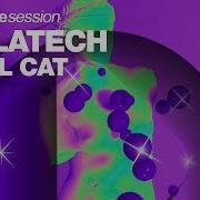 Cool Cat Killatech