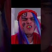 Tyga Flicky