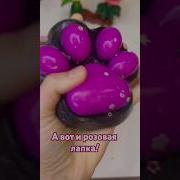 Лапка Лапка Таба Лапка