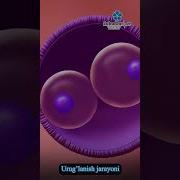 Kopro Jinsiy Aloqa Qilish Siri
