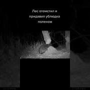 Слышь Ты Уебище Ебаное
