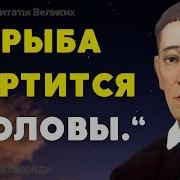 Почему Я Не Знал Этого Раньше Лучшие Цитаты О Жизни Любви Отношениях